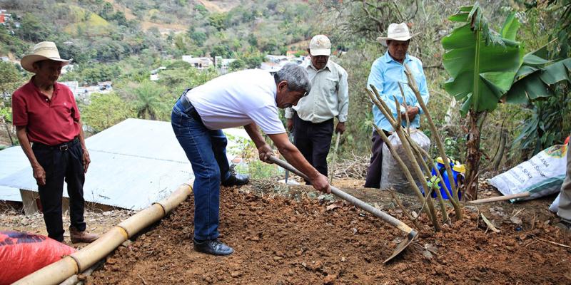 La siembra en un suelo mineral