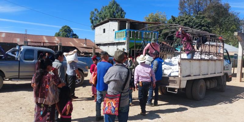 Semillas nativas criollas llegan a productores gracias al Bono Campesino