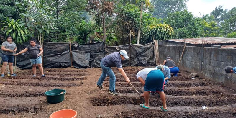 Con huertos familiares promueven producción de alimentos en Escuintla