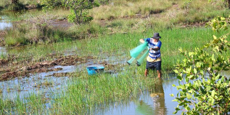 La pesca artesanal en las áreas de reserva territoriales del Estado desarrolla la economía local