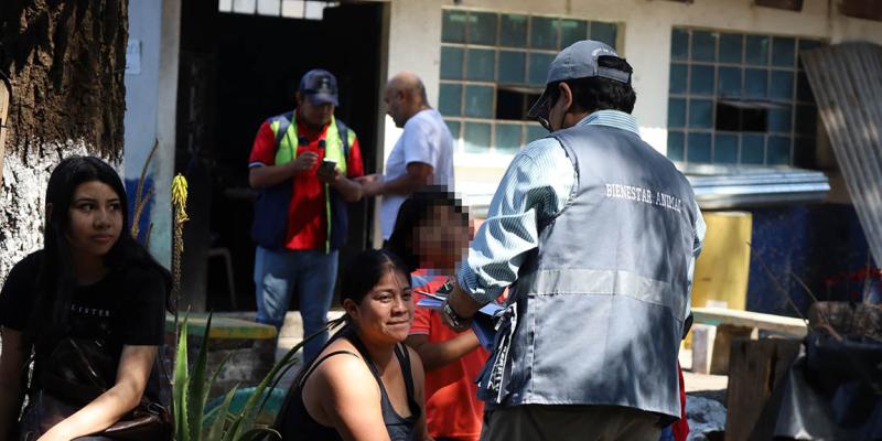 Más de 100 gatos ferales esterilizados en la zona 7 capitalina