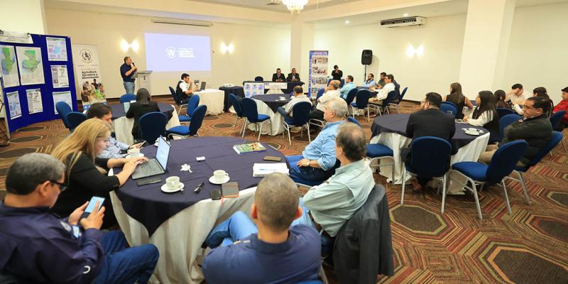 Realizan taller para la validación del mapa de cobertura vegetal