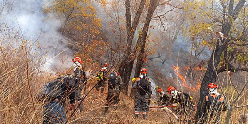 Ejército de Guatemala en apoyo interinstitucional efectúa supresión de incendios registrados en el territorio nacional.
