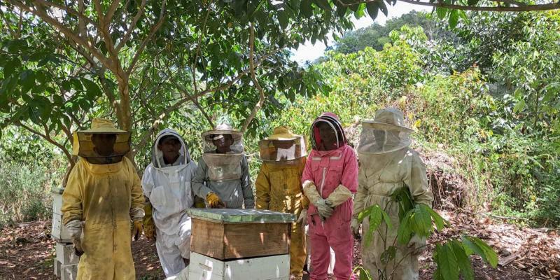 Apicultores de Dolores fortalecen sus conocimientos en Apicultura Tropical