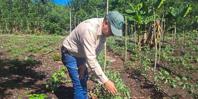 Brindan asistencia técnica para la producción de hortalizas