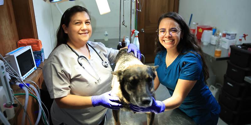 Detrás de cada animal protegido, hay un veterinario comprometido
