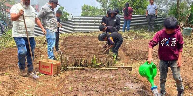 Impulsan huertos escolares pedagógicos en Huehuetenango 