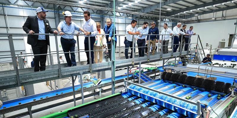 Nueva planta empacadora de aguacate fortalecerá exportación del fruto