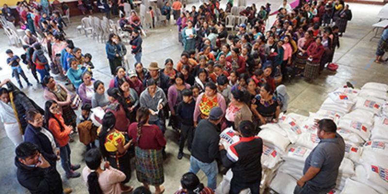 ENTREGA DE INSUMOS SOLOLÁ