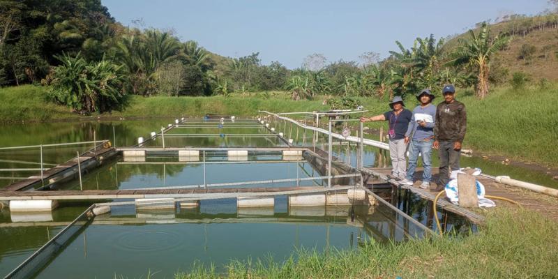 Se fortalece la producción acuícola en Petén con asistencia técnica especializada