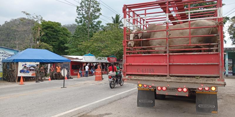 Avanza la lucha contra el Gusano Barrenador con más de 26 mil animales atendidos