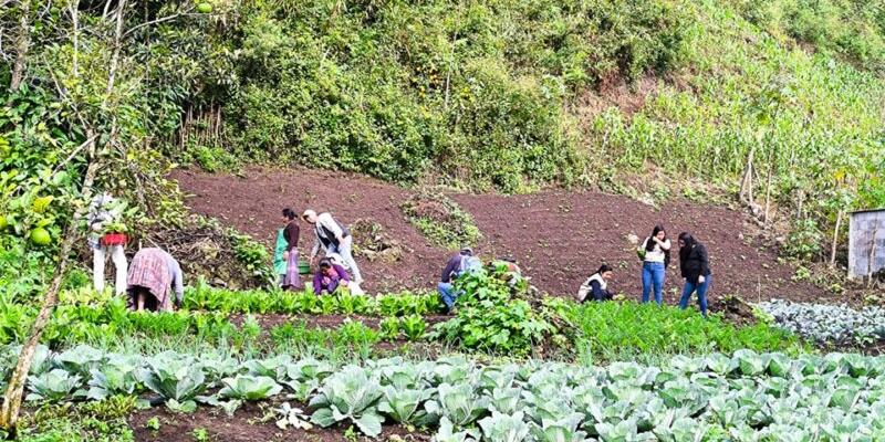 Presentan ruta de acción para abordar hambre estacional y la desnutrición aguda