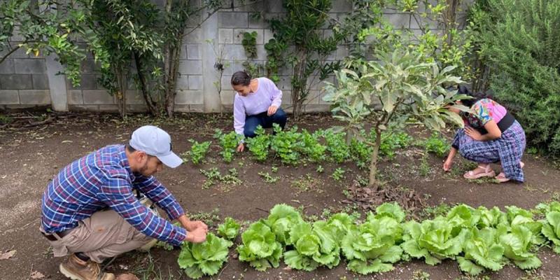 Súmate al proyecto “Jóvenes Apoyando al Extensionismo Rural: Campesino a Campesino”