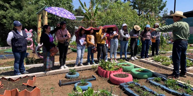 Docentes y estudiantes fortalece conocimientos agrícolas y nutricionales