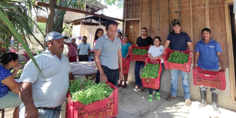 Establecen huertos familiares en Champas Quemadas, Poptún