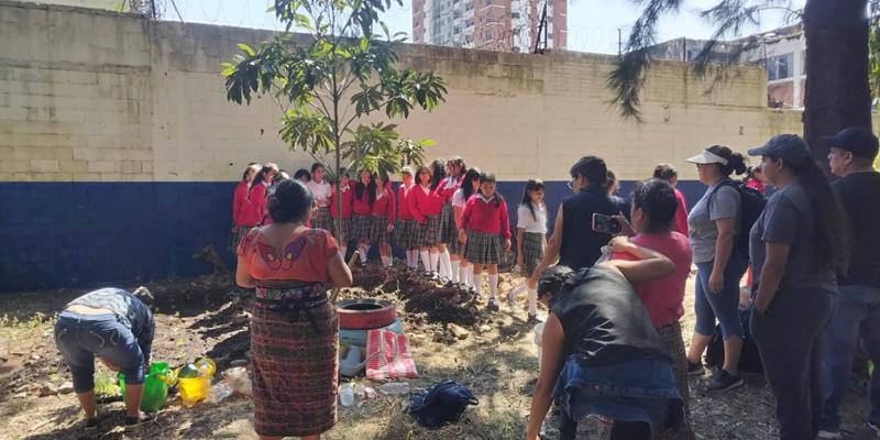 Estudiantes capitalinos fortalecen conocimientos en agricultura familiar