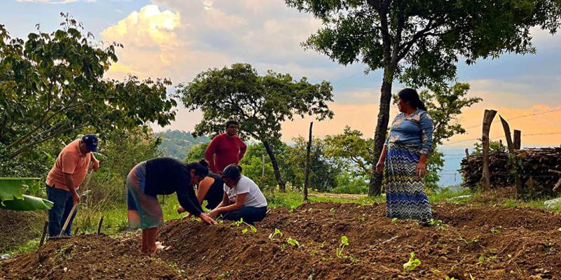 Huerto comunal fortalece la alimentación y el rol de las mujeres en la agricultura familiar