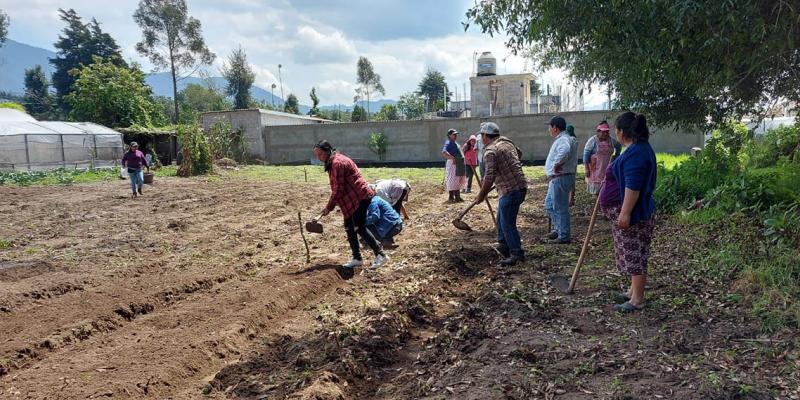 Huertos familiares y comunales fortalecen alimentación de familias en San Marcos