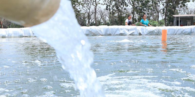Impulsan acciones para el uso sostenible del agua