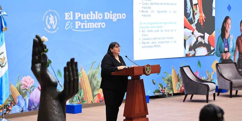 La clave para combatir el Gusano Barrenador del Ganado es la revisión y curación de heridas