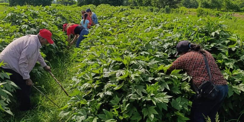 Comunidades de Santa Rosa avanzan para ser incluidas en el programa APA 