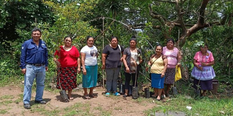 Entregan plantas frutales de guanaba en Villa Canales para diversificación agrícola