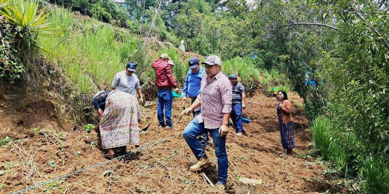 Huerto comunal beneficia a 15 mujeres en Comitancillo 