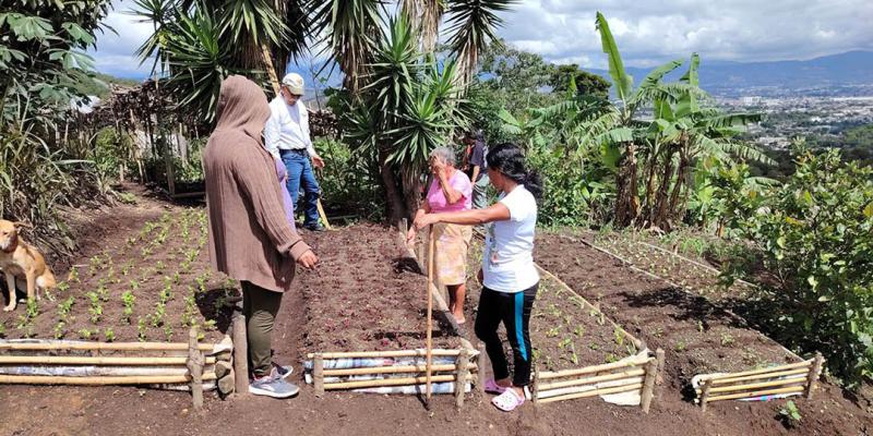 Huerto comunitario de San Miguel Petapa contribuirá con la seguridad alimentaria