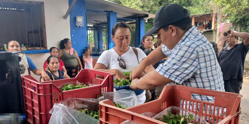 Implementan huertos familiares en Pajapita