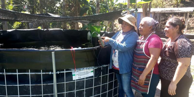 Mujeres de Melchor de Mencos comercializan primera cosecha de tilapia