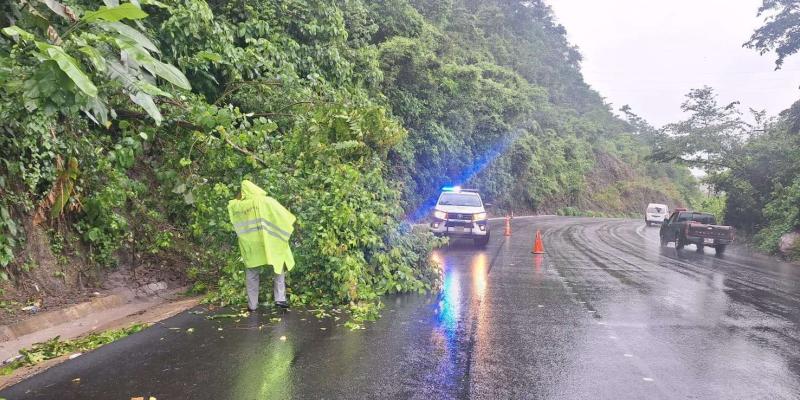 Ni la caída de árboles o rocas detienen a Provial: brigadas asisten emergencia en Jutiapa
