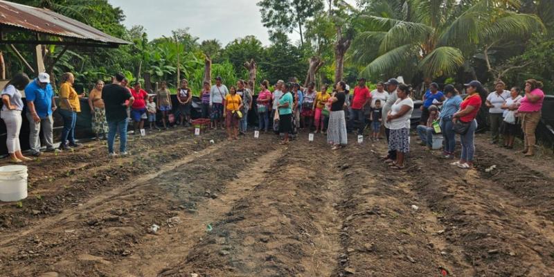 Familias agricultoras de Masagua reciben pilones para impulsar huertos comunitarios