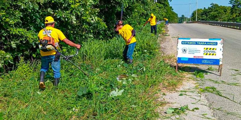 COVIAL trabaja en la limpieza y mantenimiento de la RN-24 en Petén