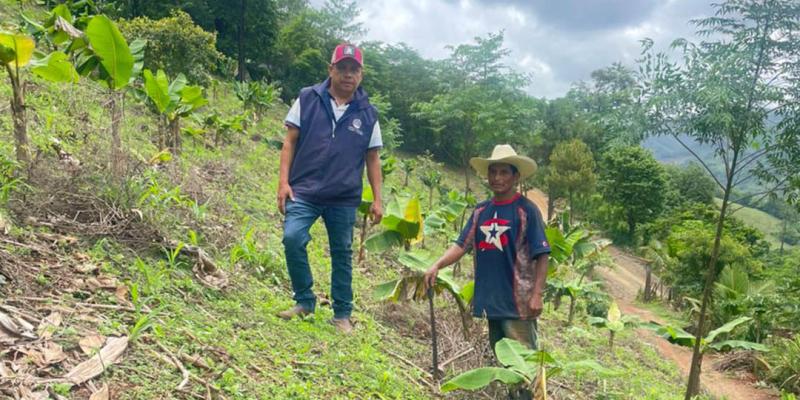 Agricultores reciben asistencia técnica para mejorar cultivos de maíz