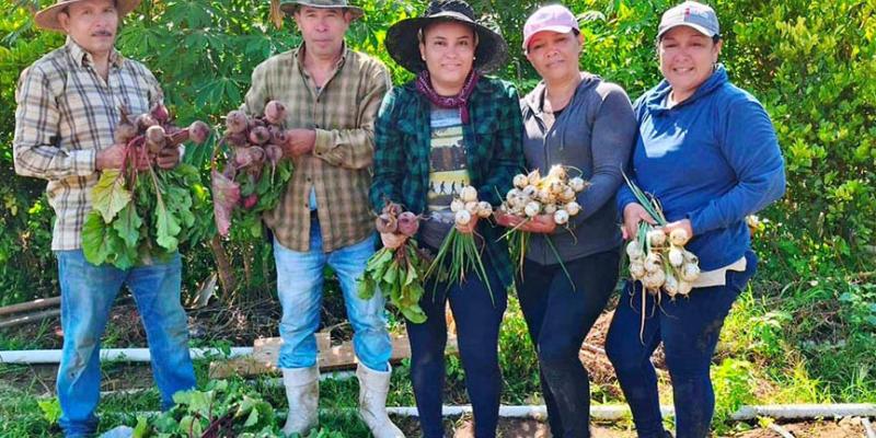 Agricultores transforman desafíos en oportunidades