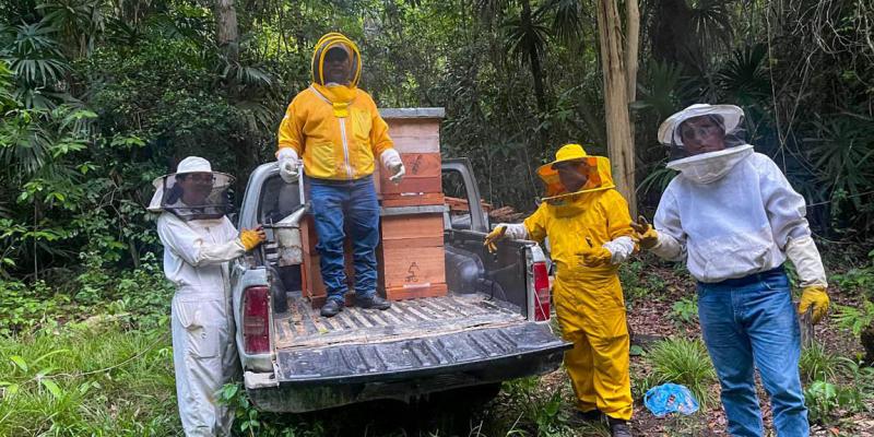 Apoyo a la Producción Apícola Promueve Desarrollo Local en Petén