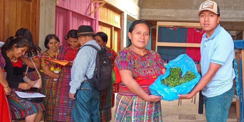 Beneficiarios de los CADER de Quiché reciben pilones de hortalizas