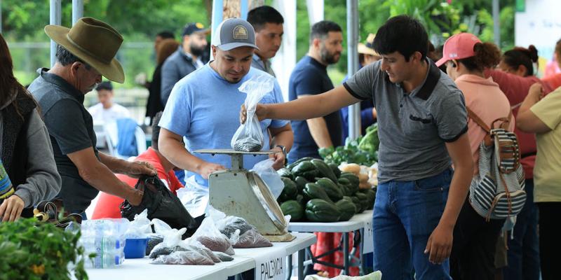 Campo Marte se transforma en un mercado de productos frescos