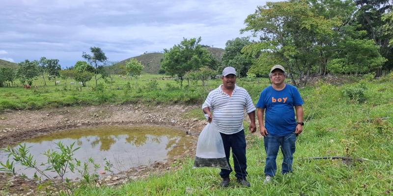 Cultivos de tilapia fortalecen la seguridad alimentaria y el desarrollo rural en Petén