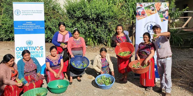 Huertos familiares fortalecen seguridad alimentaria en Nebaj
