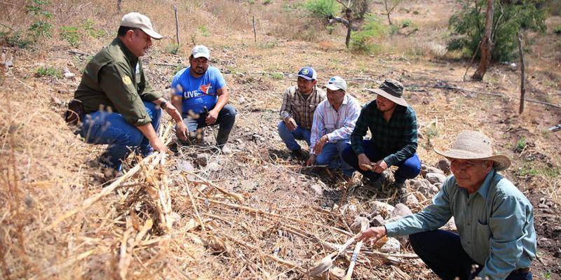 La riqueza geográfica y condiciones climáticas favorables de Guatemala, contribuyen a la existencia de una diversidad de suelos agrícolas. Cada tipo de estos posee características particulares que determinan su fertilidad y el tipo de cultivos que pueden desarrollarse en él.  El Ministerio de Agricultura, Ganadería y Alimentación (MAGA), por medio de la Dirección de Información Geográfica, Estratégica y Gestión de Riesgos (DIGEGR), realiza estudios y análisis de los suelos del país, con el objetivo de conoc