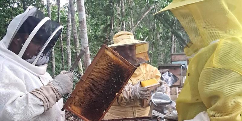 Se brinda asistencia técnica apícola en caserío El Achotal, Poptún
