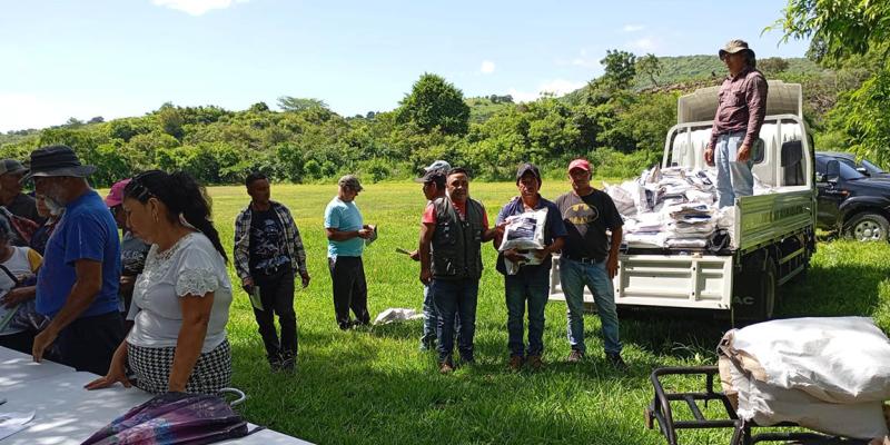 Semilla mejorada llega a mil agricultores para impulsar agricultura familiar