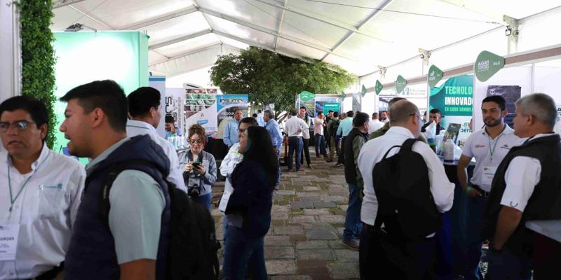 V Congreso de Aguacate impulsa expansión comercial hacia Estados Unidos