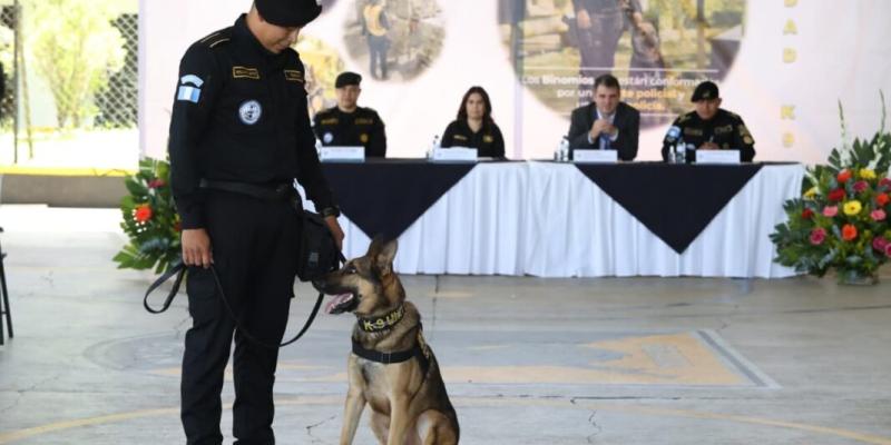 Gradúan a 17 guías caninos K-9 para reforzar la lucha contra el narcotráfico