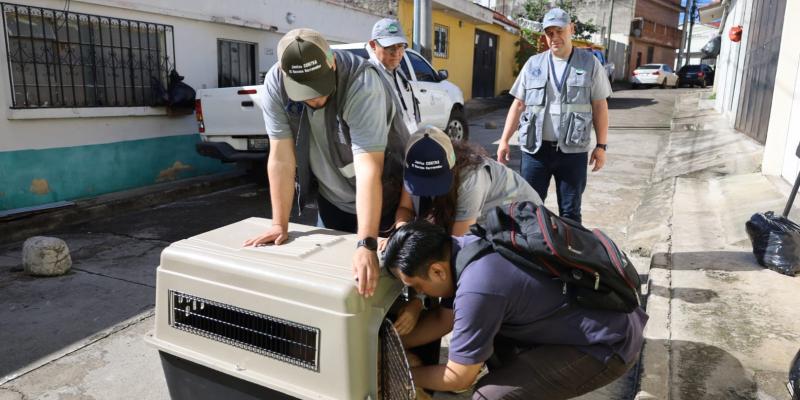 Decomisan perro maltratado tras denuncia ciudadana