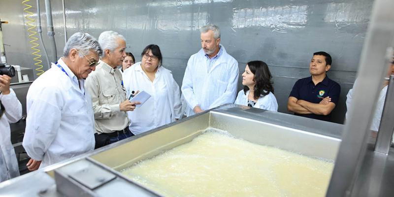 Fortalecen cooperación internacional en el Programa Moscamed Guatemala