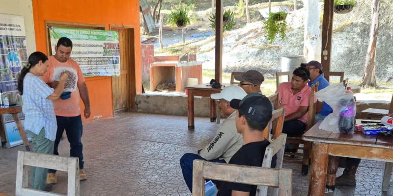 Ganaderos de Zacapa aprenden medidas de prevención contra el Gusano Barrenador