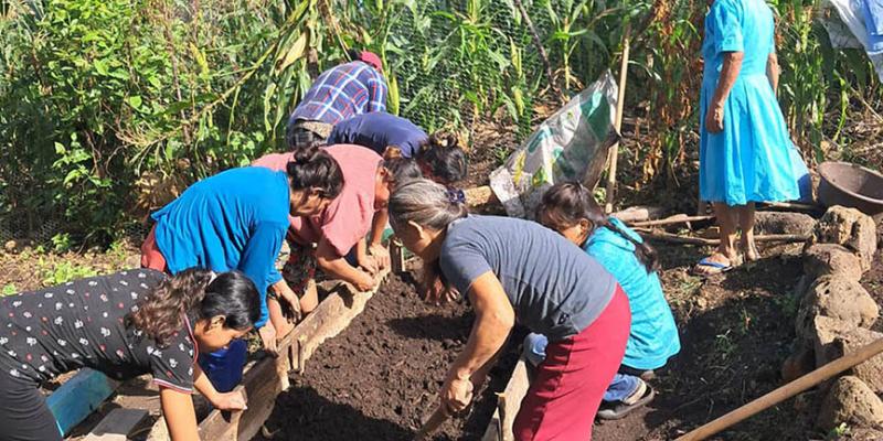 Huertos comunitarios clave para la seguridad alimentaria en Chiquimula