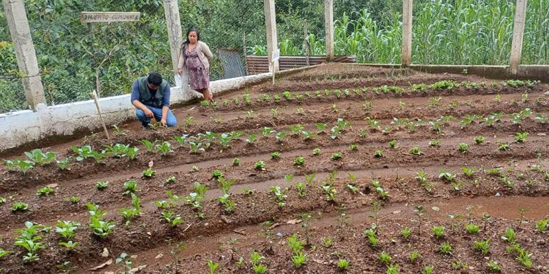 Mano a Mano impulsa seguridad alimentaria en Santiago Chimaltenango 
